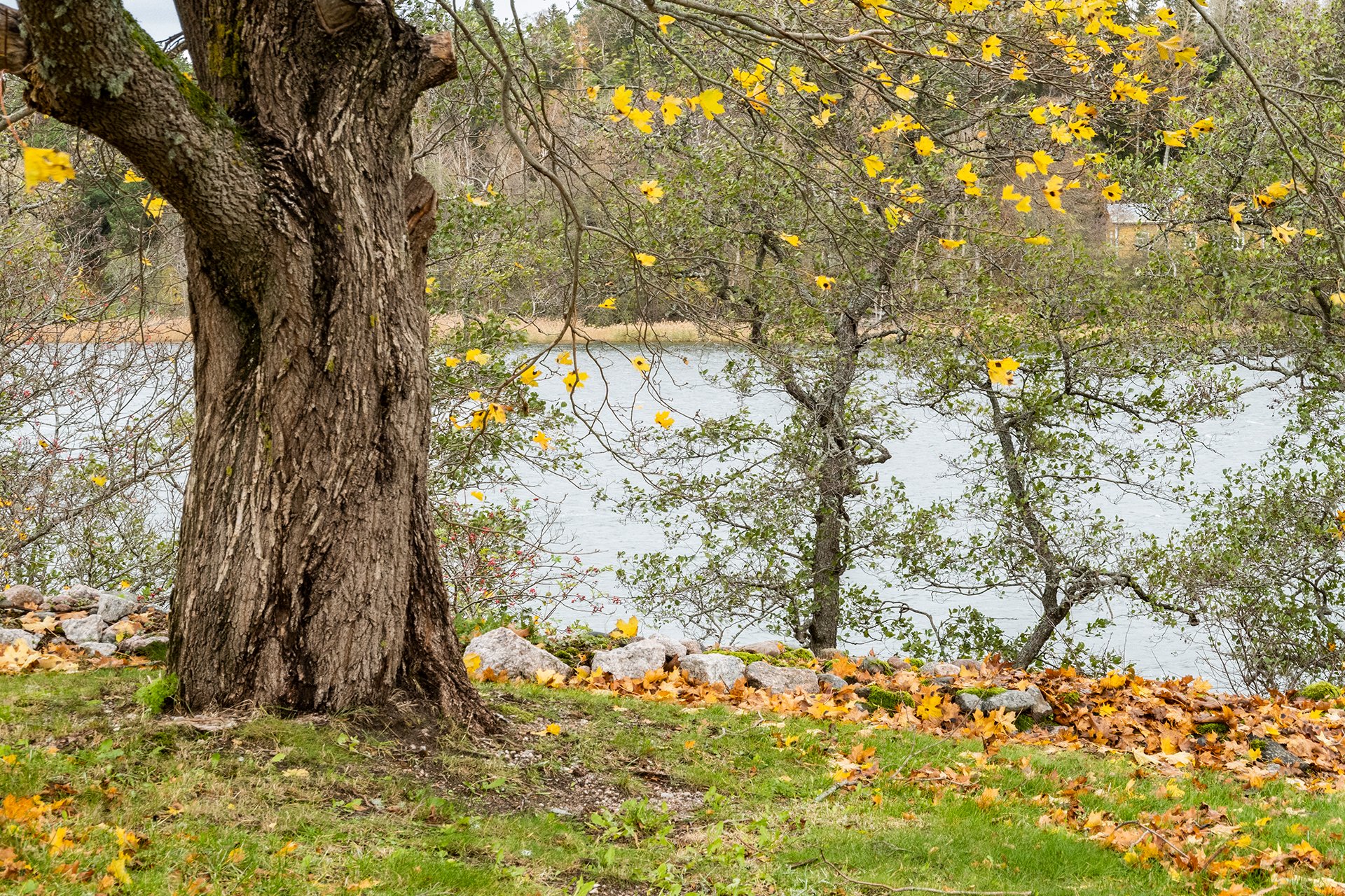 Kurssitin otsikkokuva