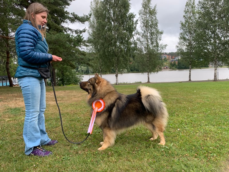 Eläintenkouluttaja
